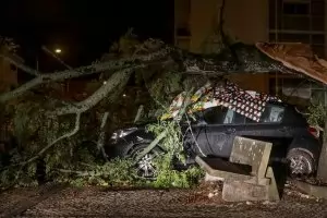 Невиждан ураган удари Португалия и
             засегна стотици хиляди