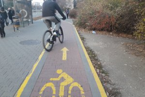 Националният състезател по колоездене Мартин Попов осъди Столичната община да