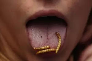 Приказка за 10 ноември