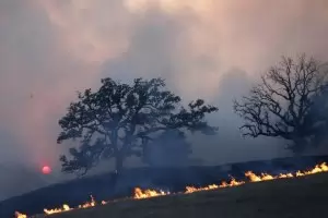 Нараства броят на жертвите в Калифорния