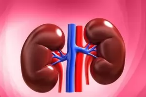 Бъбреците на личните данни