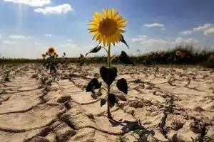 Климатичните бедствия струват скъпо