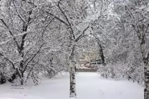 Утре се очаква сняг в 11 области на страната