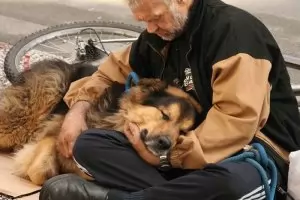 Национален интерес