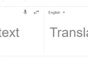 Преводаческа му работа