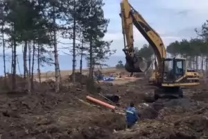 Край на живописната борова гора край Арапя