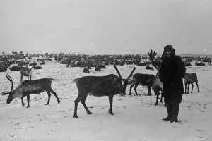 Януари е месецът на Радичков