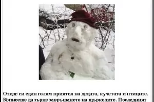 Паноптикум на зимните обяви