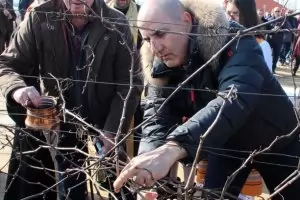 Цветанов: България, ЕС и САЩ са подложени на хибридна атака от Русия