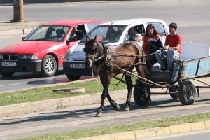 Т нар Патриоти за София – групата на ВМРО и Атака