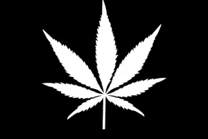 Кипър узакони употребата на медицински канабис