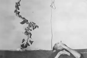 За пръв път снимки влизат в колекцията на "Квадрат 500"