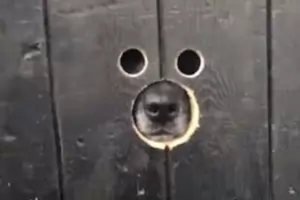 Изгубено, та загубено