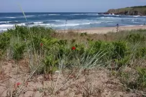 Двойно защитен плаж за малко не бе концесиониран