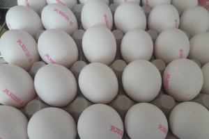 Инфлацията през март порасна с 0 2 и на годишна база