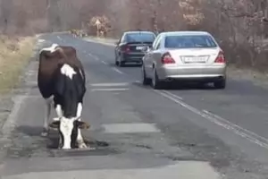 Протест в Гърмен заради лошите пътища
