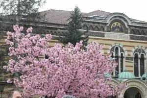 Св.Синод отказа участие на всеправославно събрание в Йордания