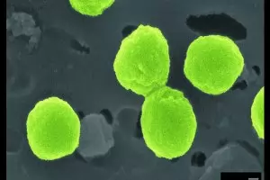  Замърсяването на океаните ще намали кислорода във въздуха