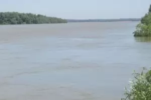 Заловиха русенец, опитал да прекара иракчани през Дунава