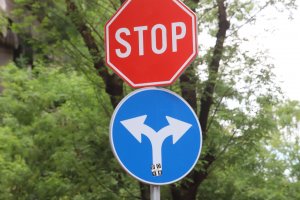 През миналата година крадци вандали некадърни и невнимателни шофьори са отмъкнали и изпочупили