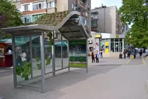 Една тъжна истина за България