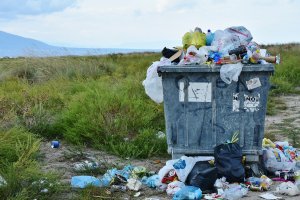 Много богати държави изпращат за рециклиране в чужбина боклуците които