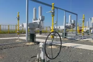 "Булгартрансгаз" иска бързо разглеждане на жалбата срещу "Български поток"