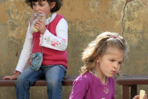 Държавен фонд Земеделие бави плащания за близо 800 хил лв