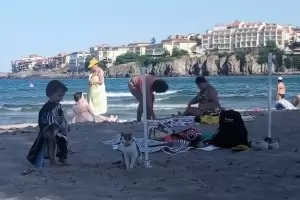 205 млн. лв. са приходите от нощувки на туристи през юни