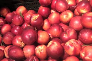 Консервни фабрики с месеци не плащали прасковите на фермерите алармират