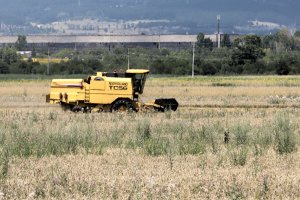 Финалът на реституцията на земеделските земи е под въпрос В