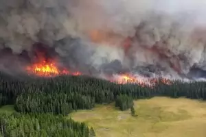 3 млн. хектара гори в Русия са в пламъци 