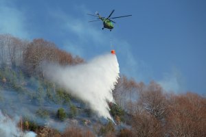 Ситуацията с горския пожар над село Югово в Родопи е
