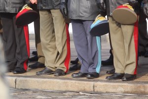 Ако в някоя нормална държава подадат оставки и рапорти за