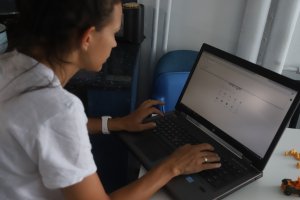 С над 30 са нараснали хакерските атаки в българското интернет