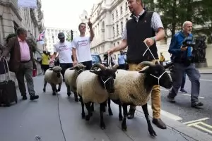 Лондон има план да посрещне 
хаоса от Брекзит без сделка