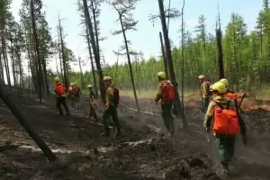 "Грийнпийс": Пожарите в Сибир се разрастват