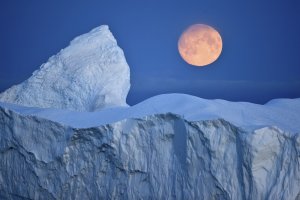 През последните няколко години микропластмасови частици бяха открити в океаните и в питейната