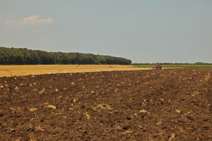 Земеделски производители от община Садово блокираха днес международния път към