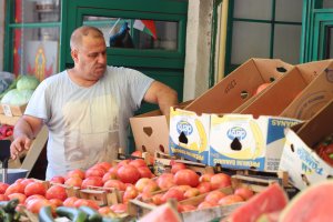 Българските домати са на път да станат златни Само за