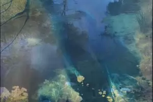 Симеон Стоилов споделя своя "Див живот"