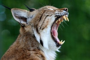 Добре дошъл – поздрави го администраторът – Каква е