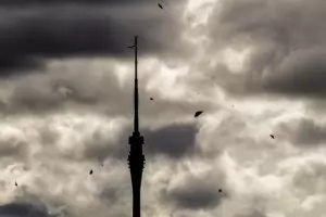 Бури спряха влакове в Северна Германия