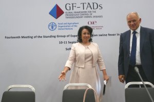 Действията на българските власти във връзка с африканската чума по