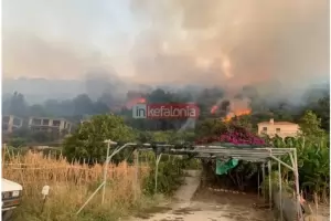 Евакуират туристи от Кефалония заради нов горски пожар