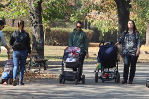Ражданията в България продължават да намаляват като процентът на тези