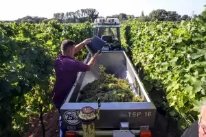 Фермери съдят Берлин за глобалното затопляне