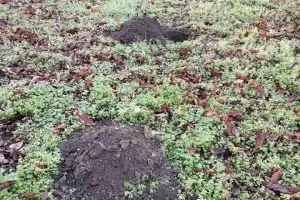 Жители на Стара Загора алармираха за заграждане в парк