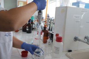 Сърбия и Ватикана са поредните държави в които бяха регистрирани