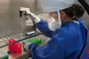 СЗО предупреди за мистериозен вирус от Китай